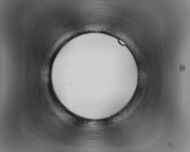 X0000101440064200808041224
