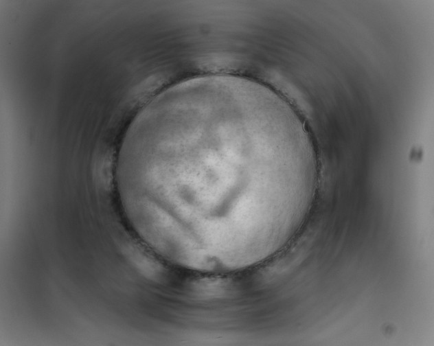 X0000101440065200808041224