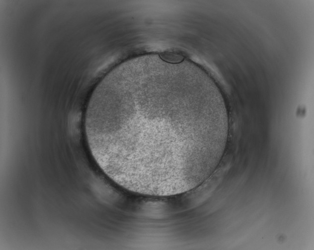 X0000101440066200808041224