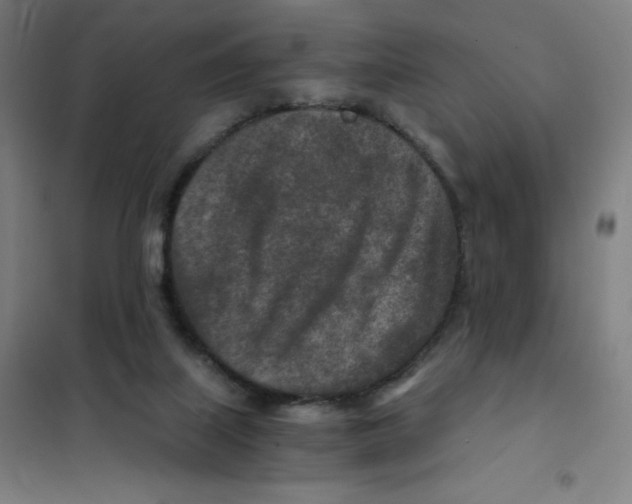 X0000101440067200808041224
