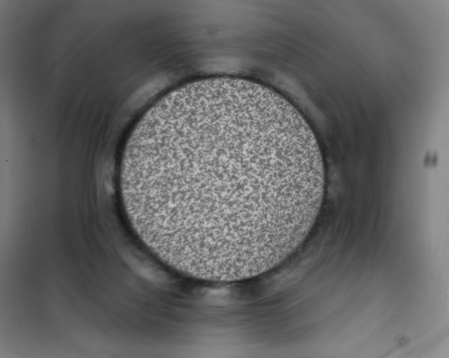 X0000101440068200808041224