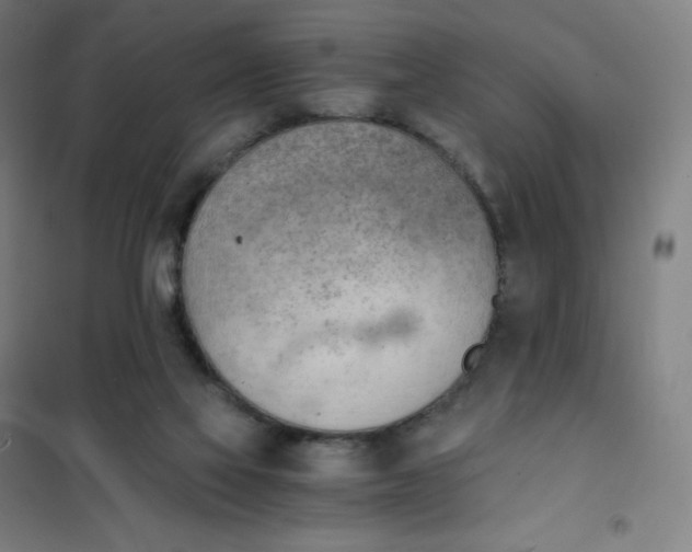 X0000101440069200808041224