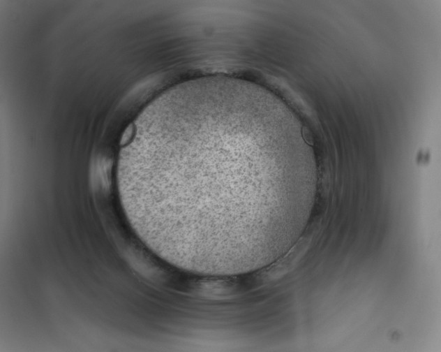 X0000101440070200808041224