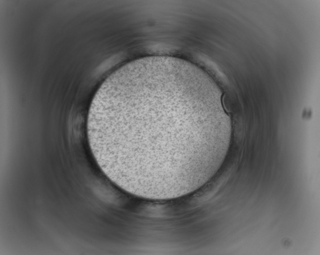 X0000101440071200808041224