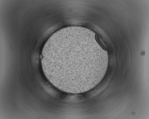 X0000101440072200808041224