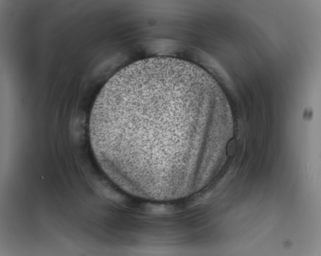 X0000101440073200808041224