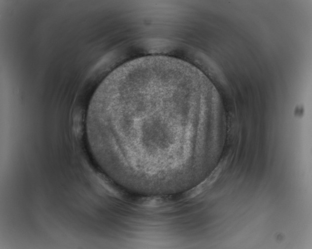 X0000101440074200808041224