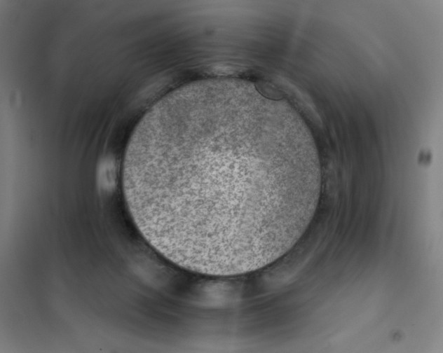 X0000101440075200808041224