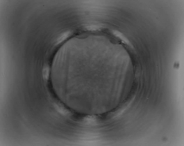 X0000101440076200808041224