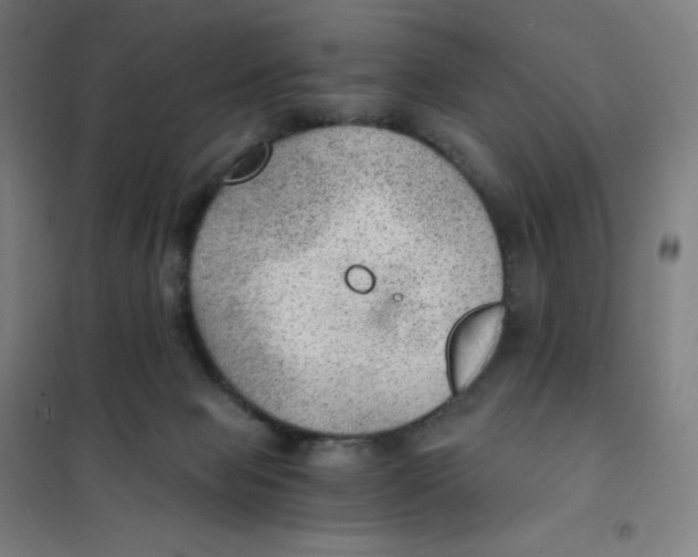 X0000101440077200808041224