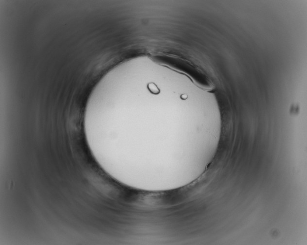 X0000101440078200808041224