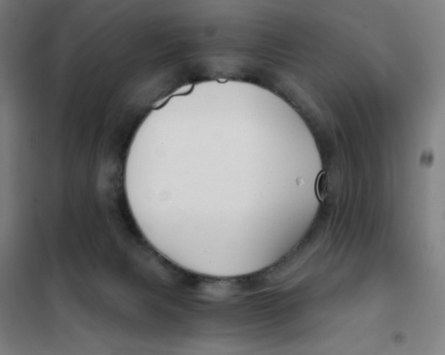 X0000101440079200808041224