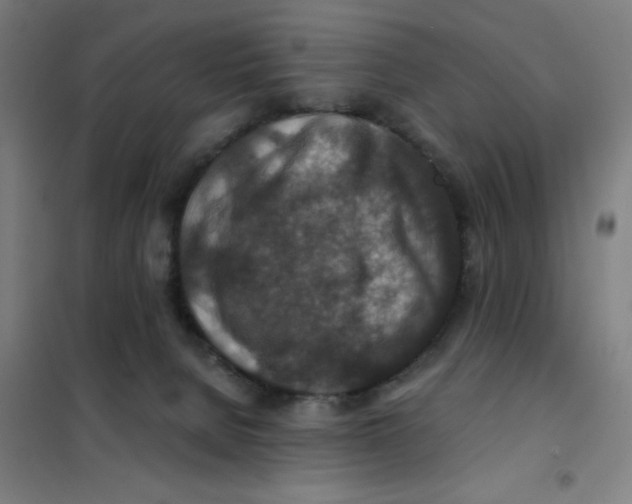 X0000101440080200808041224