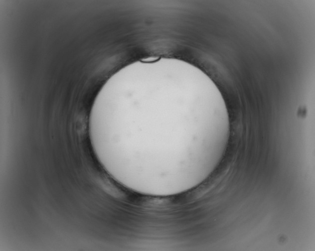 X0000101440081200808041225