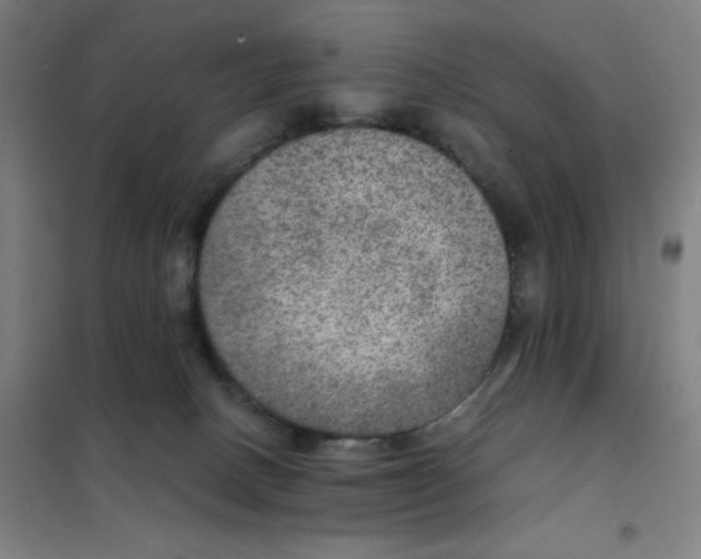 X0000101440082200808041225