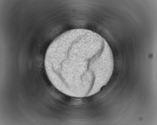 X0000101440083200808041225