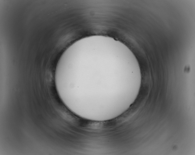X0000101440084200808041225