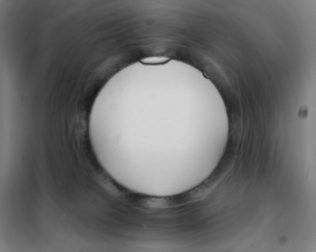 X0000101440085200808041225