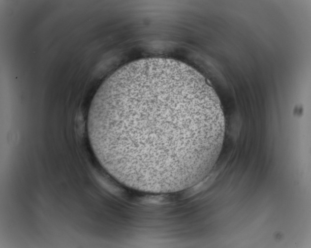 X0000101440086200808041225