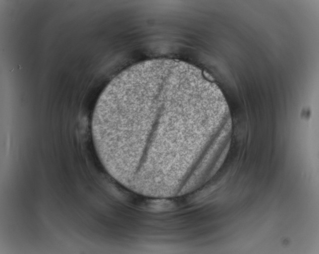 X0000101440087200808041225