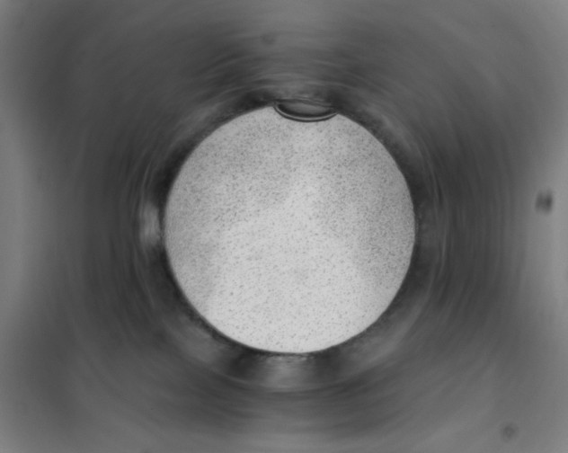 X0000101440089200808041225