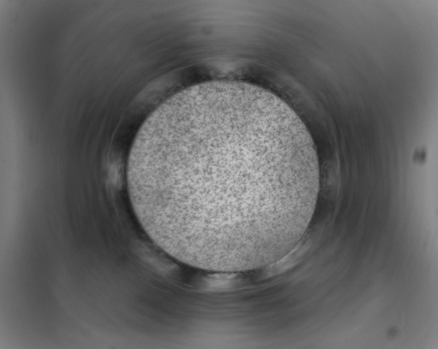 X0000101440090200808041225