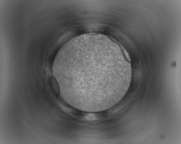 X0000101440091200808041225