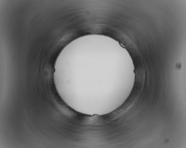 X0000101440092200808041225
