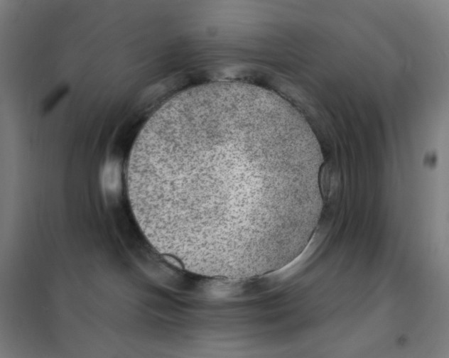 X0000101440094200808041225