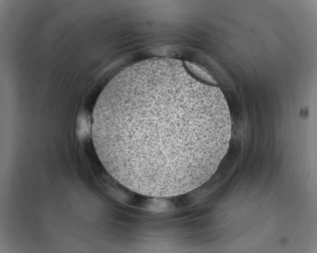 X0000101440095200808041225