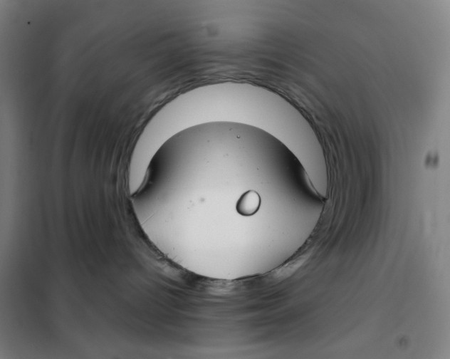 X0000101440096200808041225