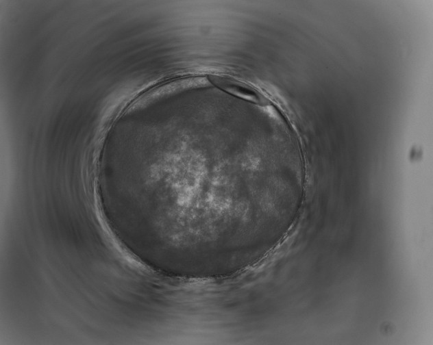 X0000101440097200808041224