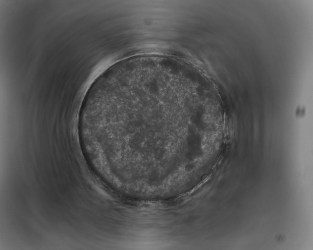 X0000101440099200808041224