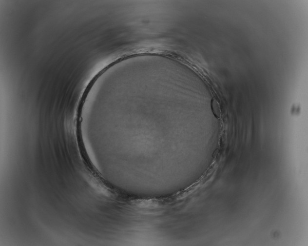 X0000101440100200808041224