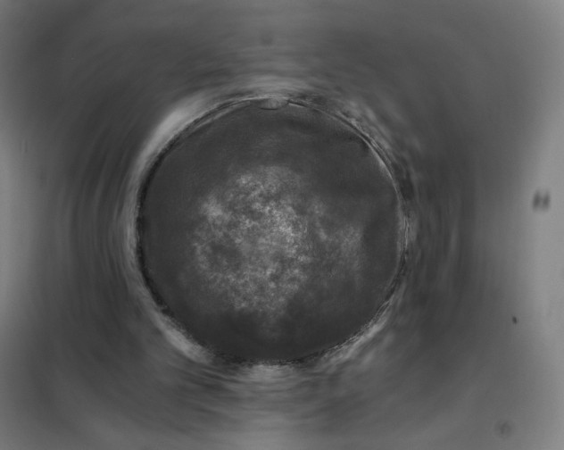 X0000101440101200808041224