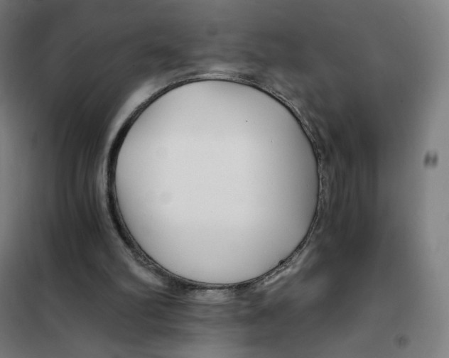 X0000101440102200808041224