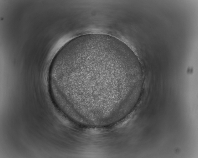 X0000101440103200808041224