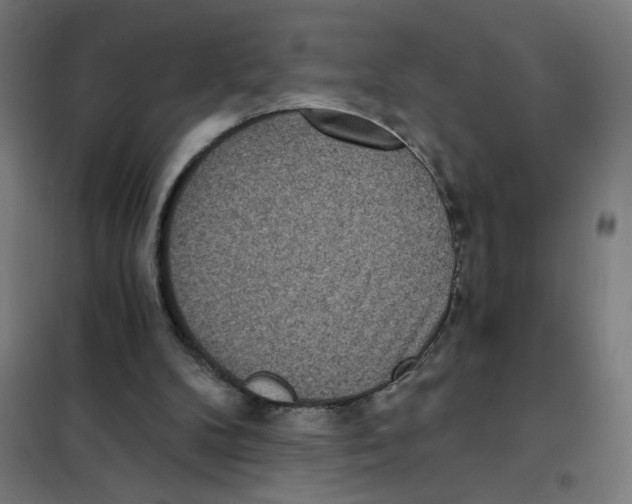 X0000101440104200808041224