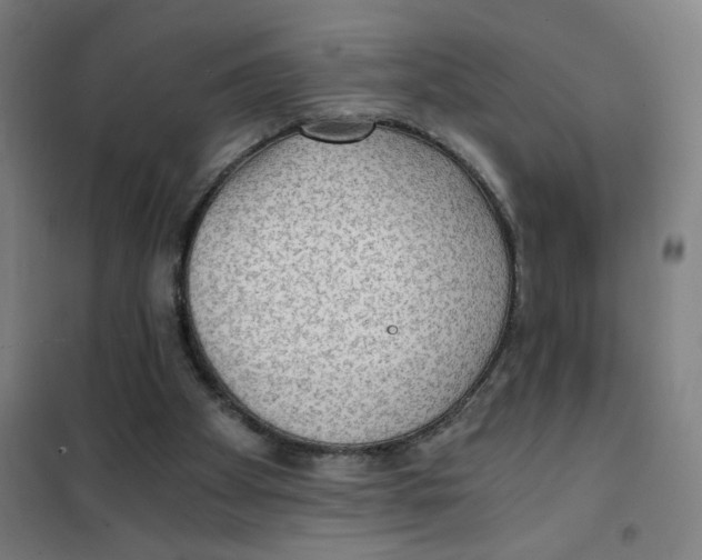 X0000101440105200808041224