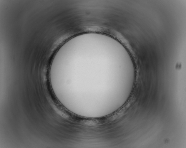 X0000101440106200808041224