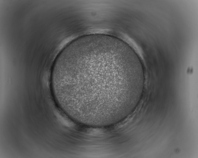 X0000101440107200808041224