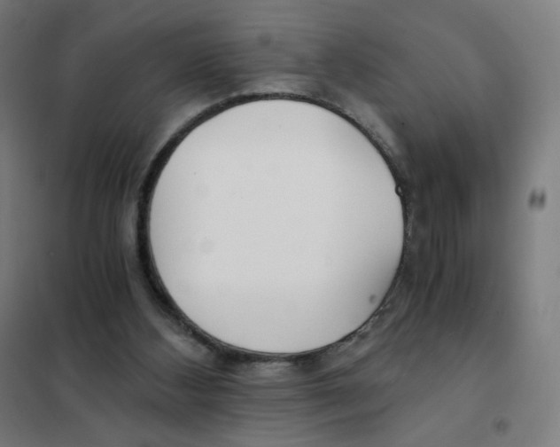 X0000101440108200808041224