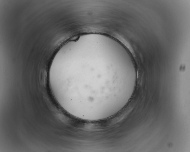 X0000101440109200808041224