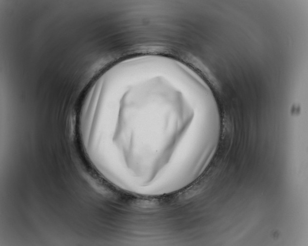 X0000101440110200808041224