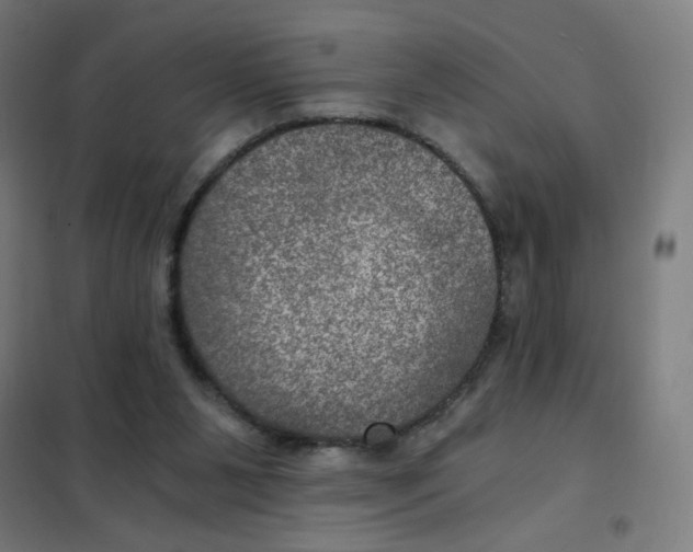 X0000101440111200808041224