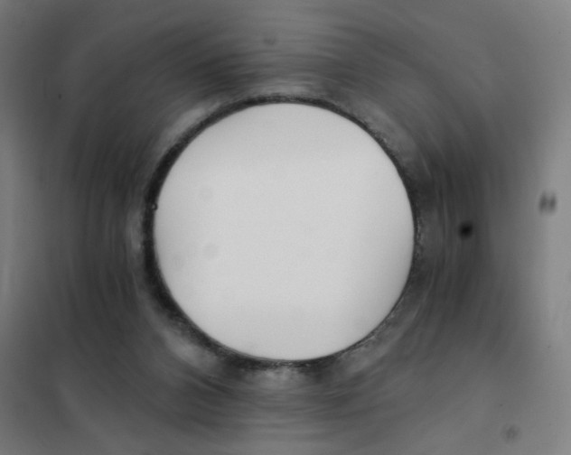 X0000101440112200808041224