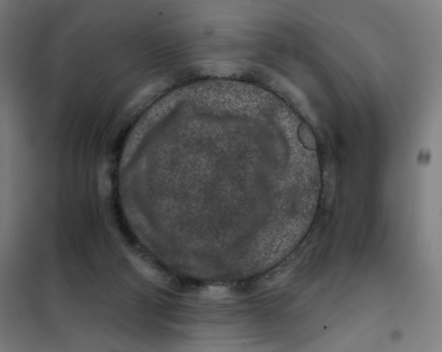 X0000101440114200808041224