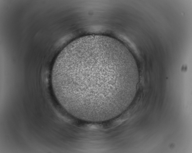 X0000101440115200808041224