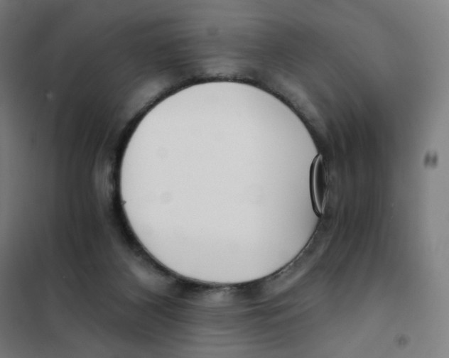 X0000101440116200808041224