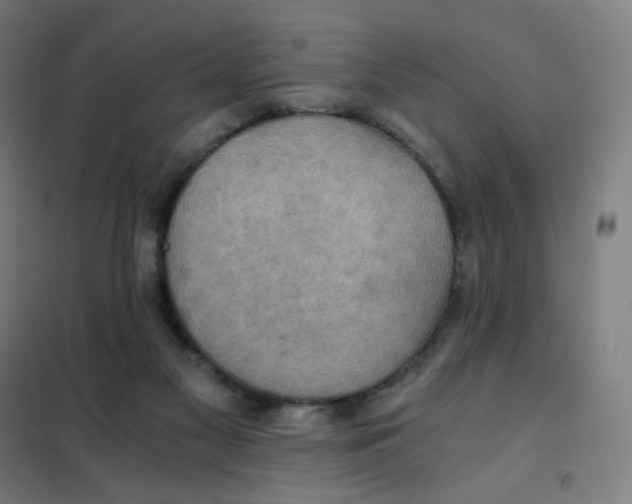 X0000101440117200808041224